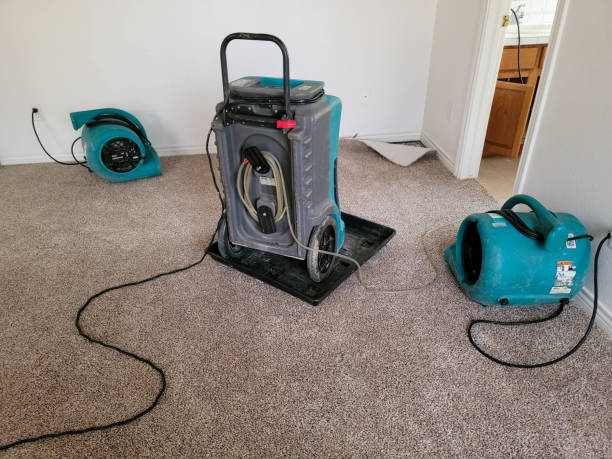 Best Flood damage cleanup  in Ferndale, MD