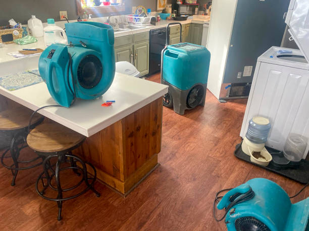 Best Carpet water damage restoration  in Ferndale, MD