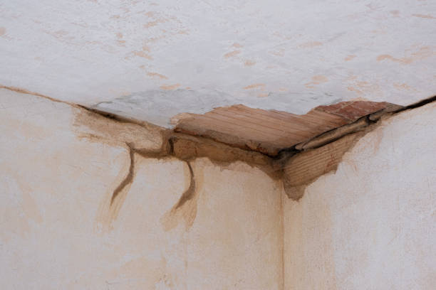 Best Water damage restoration near me  in Ferndale, MD