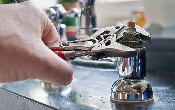 Best Ceiling water damage repair  in Ferndale, MD