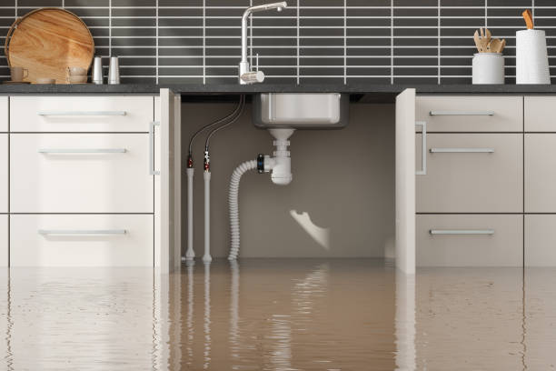 Best Fire Damage Restoration  in Ferndale, MD