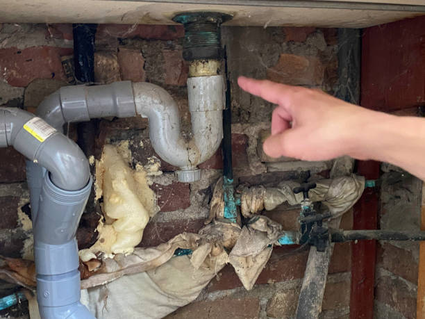 Best Water damage contractors near me  in Ferndale, MD