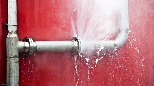 Best Mold removal after water damage  in Ferndale, MD
